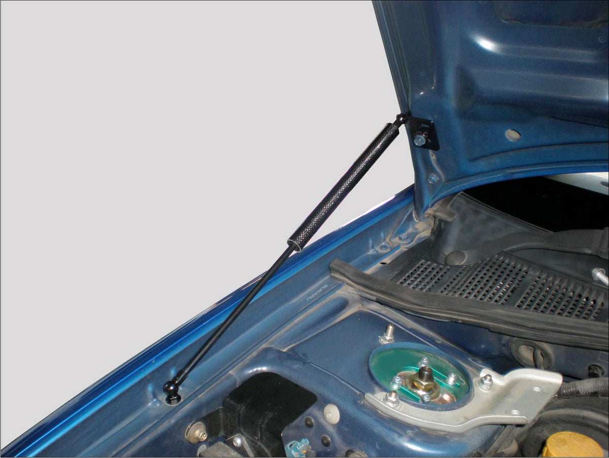 GReddy - GReddy Carbon Hood Damper(s) - 18520103