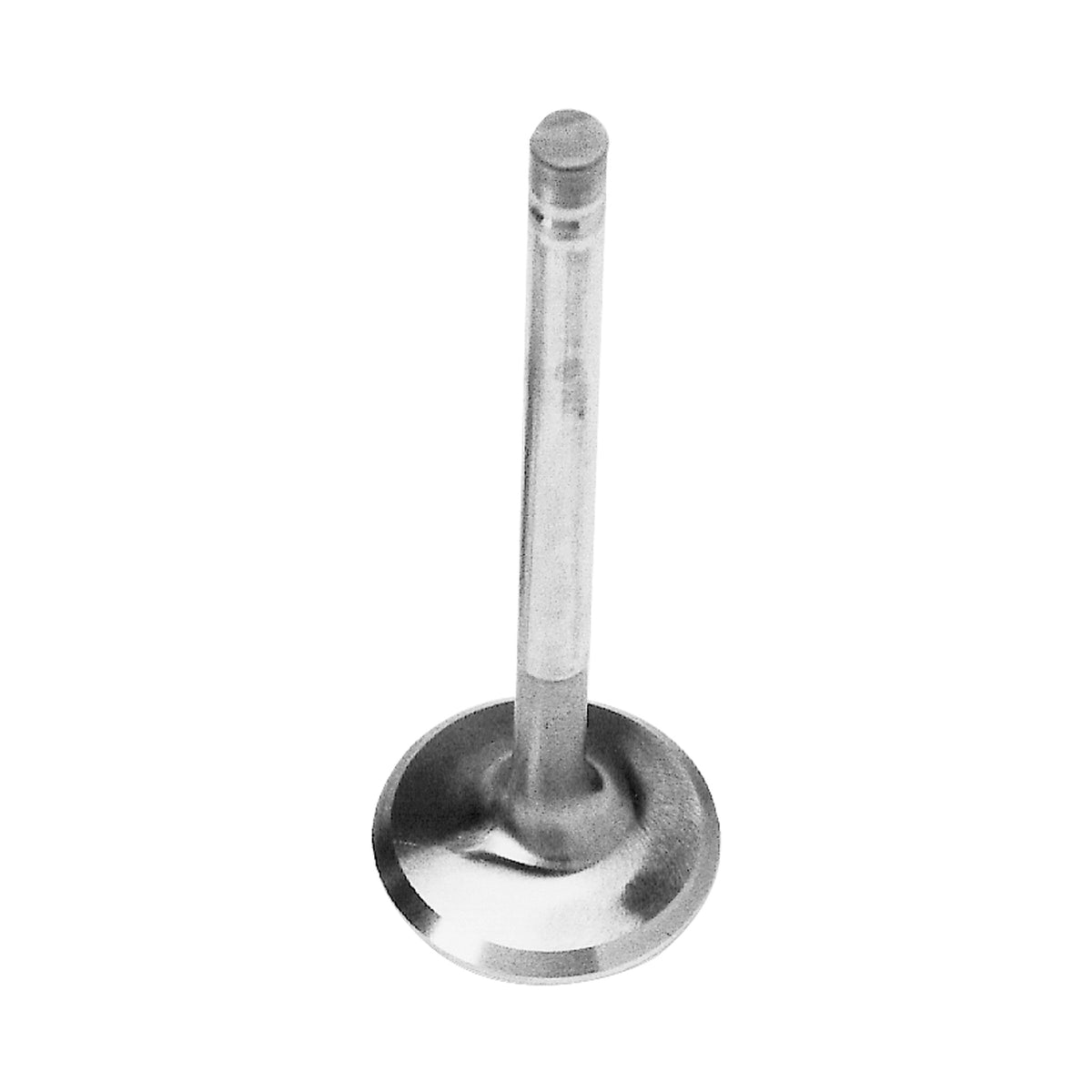Edelbrock 1- Ford 60259 60359 Exh Valve 1 600 X 4 929 - 9761