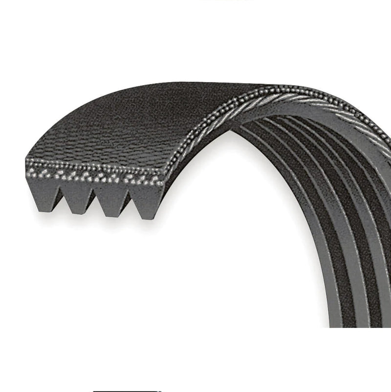 VMP Performance Belt 4-Rib Accessory for 5.0/5.2L w/ /ATI Balancer - 4PK1715
