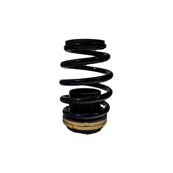 BLOX Racing 12-13 Honda Civic SI Plus Series Fully Adjustable Coilovers - BXSS-00120 - front view