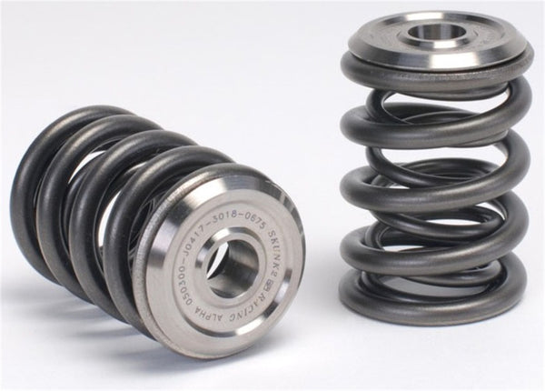 Skunk2 Alpha Series Honda/Acura B Series Valve Spring and Titanium Retainer Kit - 344-05-1300 for 1992-2001 Acura Integra - f