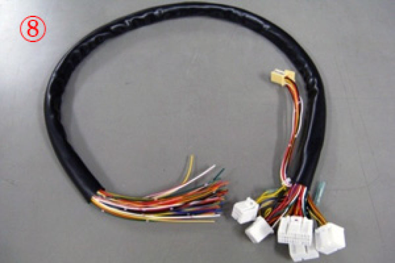 HKS TP5 - 8F - CON V Harness - 4202-RT029