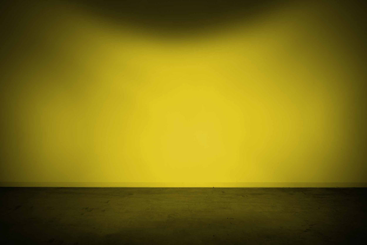 Morimoto - Lens Only: 4Banger (Yellow / Flood) - BAF206
