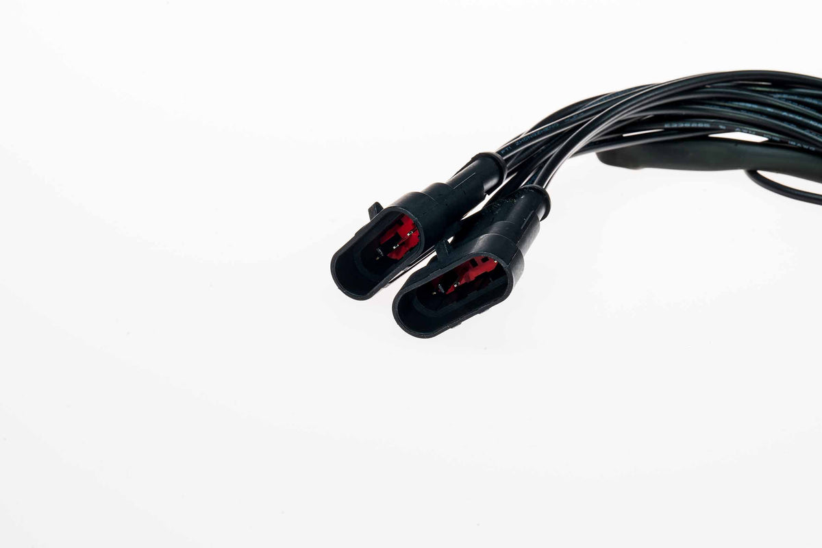 Morimoto - European Wiring Adapters: Ferrari F430 Tail Lights - LF356-H-EU