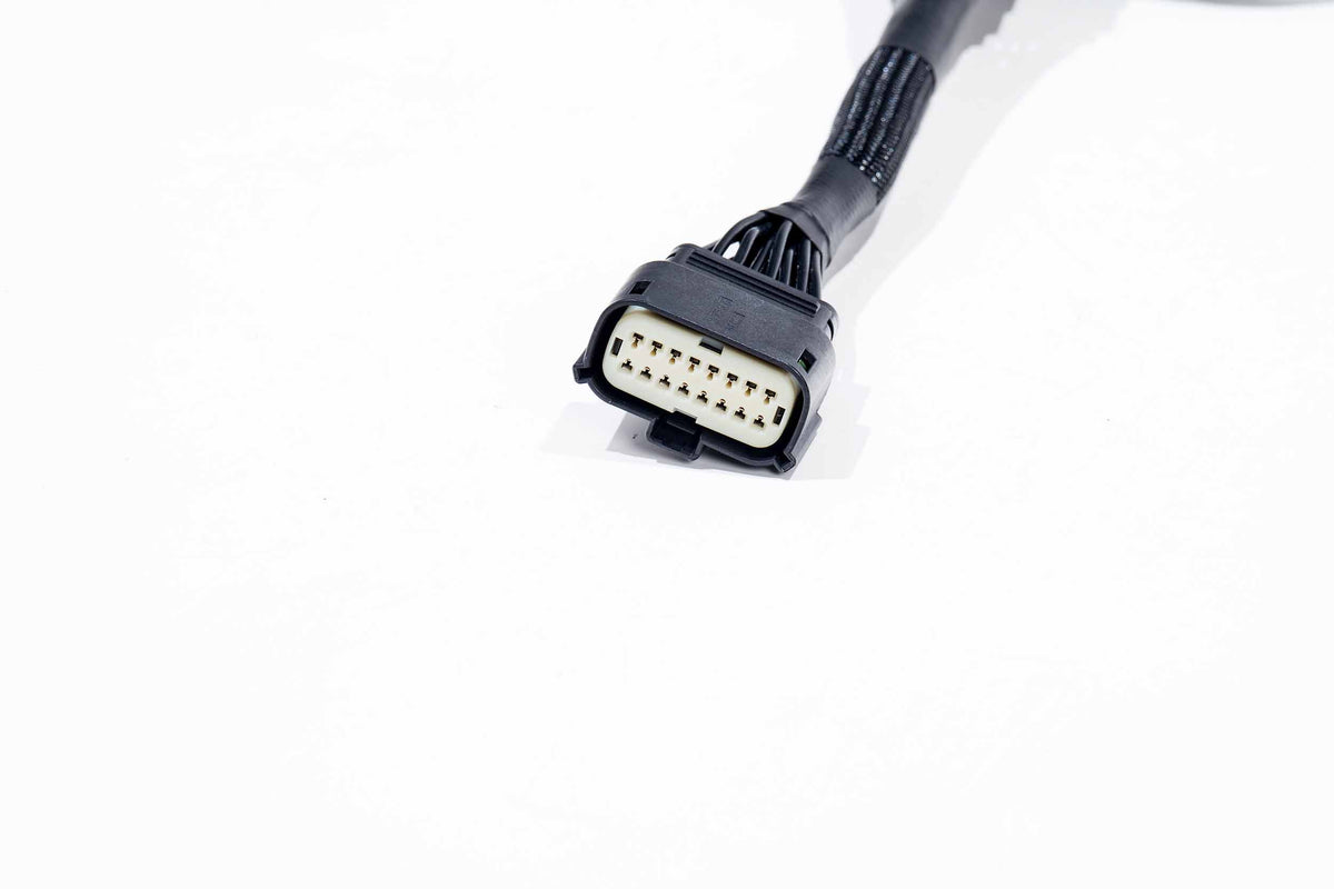 Morimoto - XBG Adapter Harness: 21-23 F-150 OE Projector LED - XBG21H