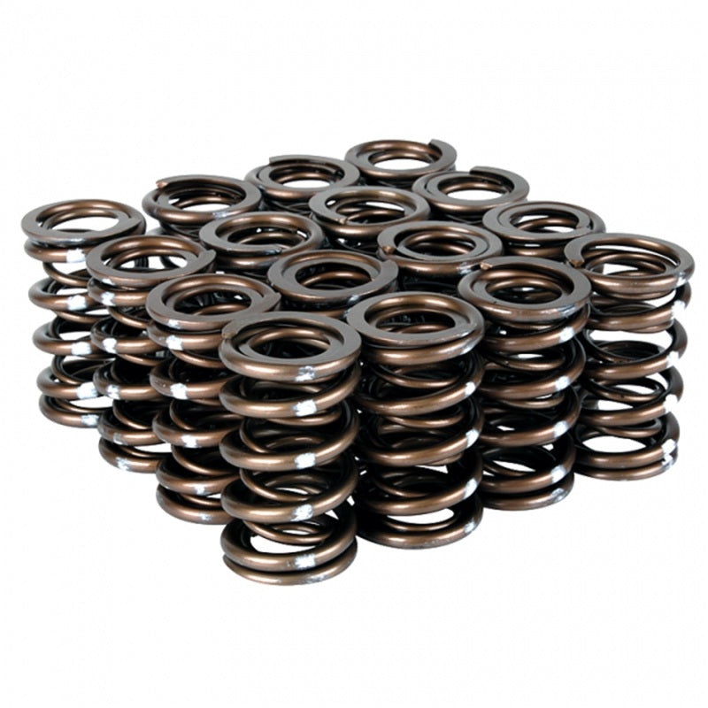 Skunk2 Pro Series Honda/Acura B-Series VTEC XP Valve Spring Set (Dual Springs) - 311-05-7350 for 1992-2001 Acura Integra - fr