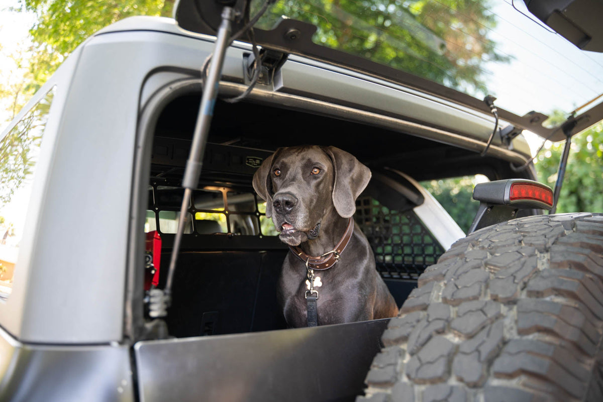 DV8 Offroad - 2021-2024 Ford Bronco | Dog Barrier - MPBR-10