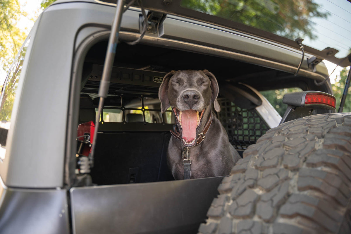 DV8 Offroad - 2021-2024 Ford Bronco | Dog Barrier - MPBR-10