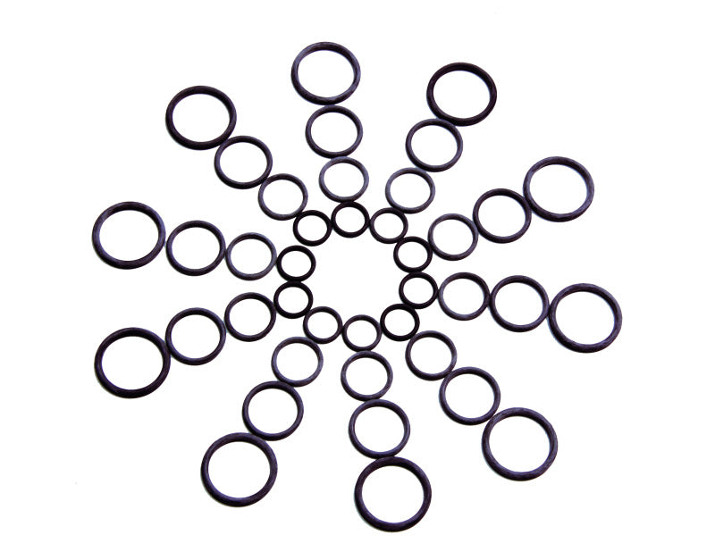 Aeromotive Fuel Resistant Nitrile O-Ring - AN-06 (Pack of 10) - 15621