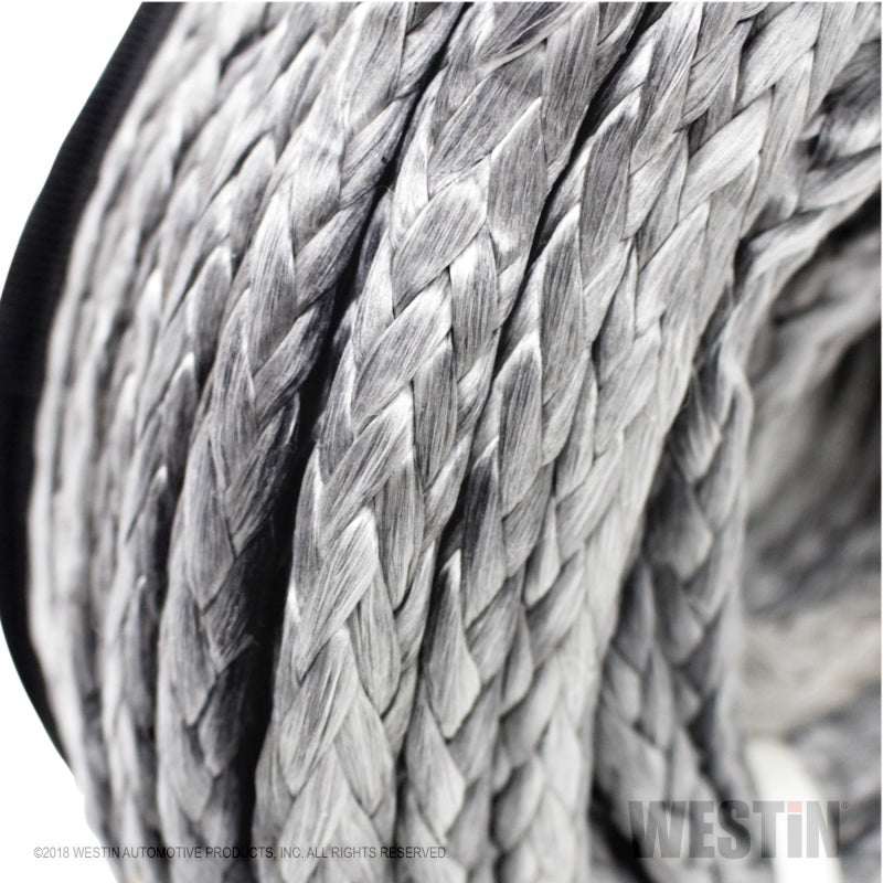 Photo - Unmounted