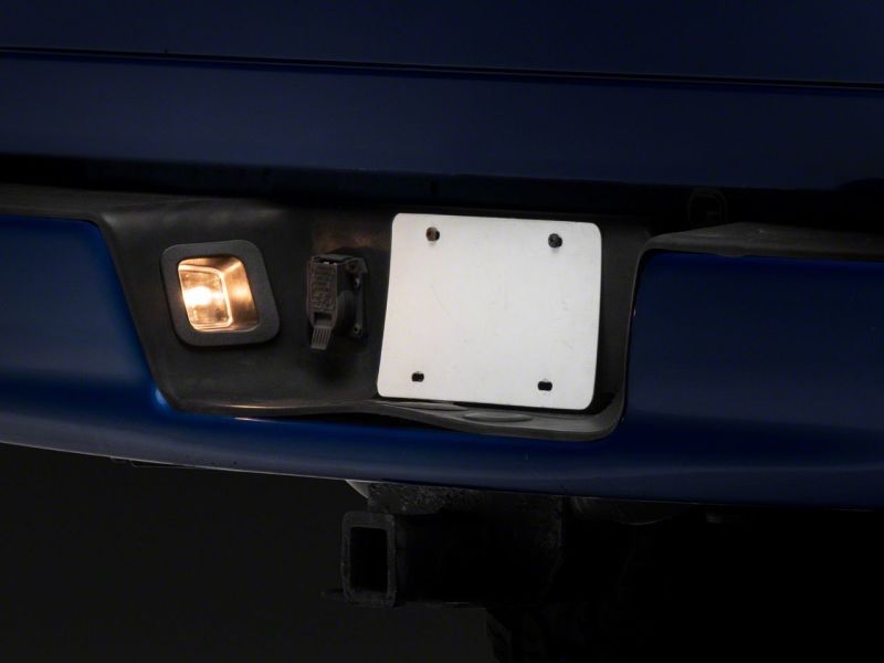 Raxiom 02-10 Dodge RAM 1500/2500 Axial Series OE Replacement License Plate Lamps - R145024
