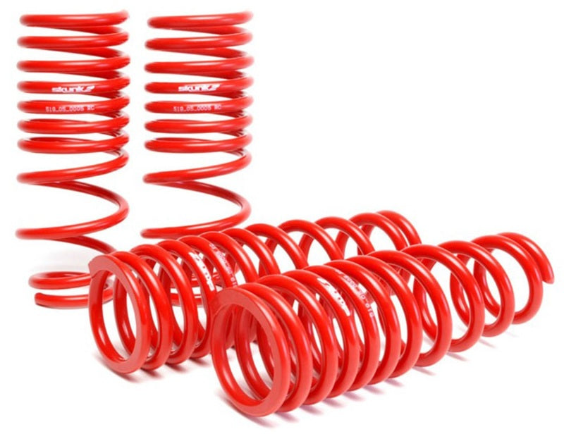 Skunk2 96-00 Honda Civic Lowering Springs (2.50in - 2.25in.) (Set of 4) - 519-05-1550 for 1996-2000 Honda Civic - front view