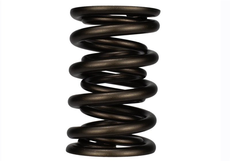 Ford Racing Replacement Valve Springs (TVS-1734) - Set Of 8 - M-6513-17348