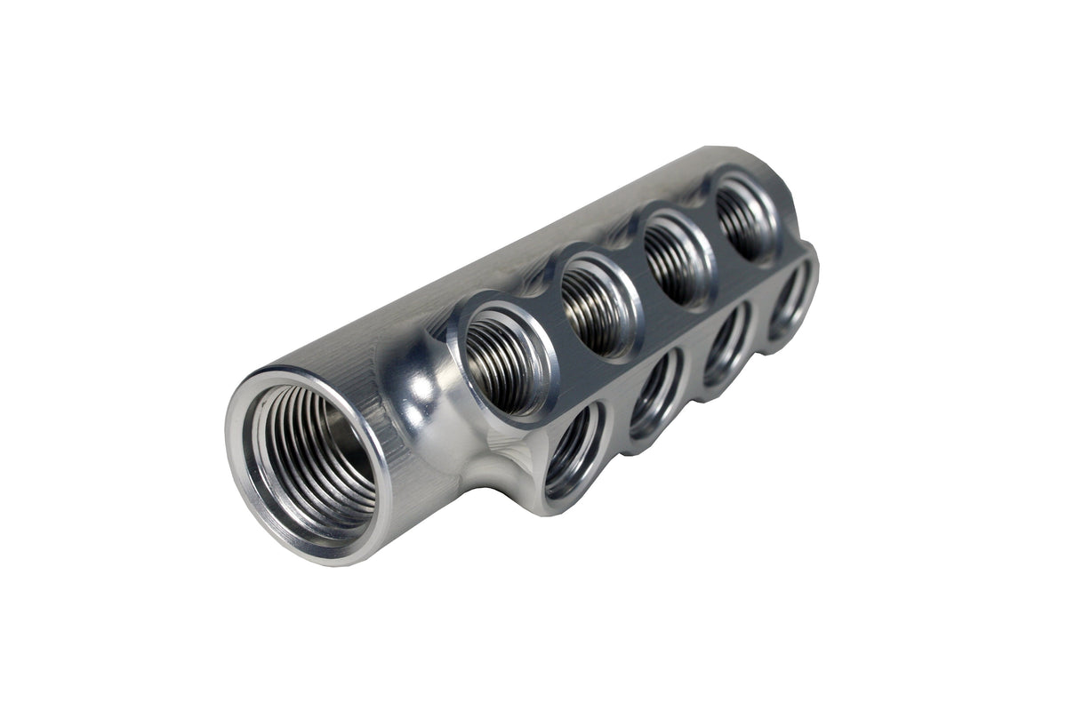 Aeromotive Fuel Distribution Log (10-Ports) (2) -10 AN/(8) -6 AN - 14602