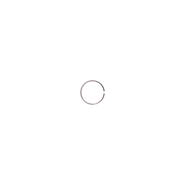 Bilstein B1 (Components) - C-Clip - Motorsports Component - 2522880 by Bilstein