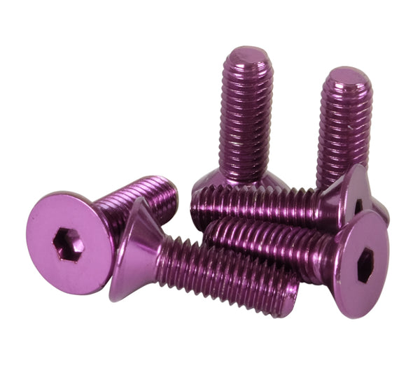 NRG Steering Wheel Screw Upgrade Kit (Conical) - Purple - SWS-100PP - front view