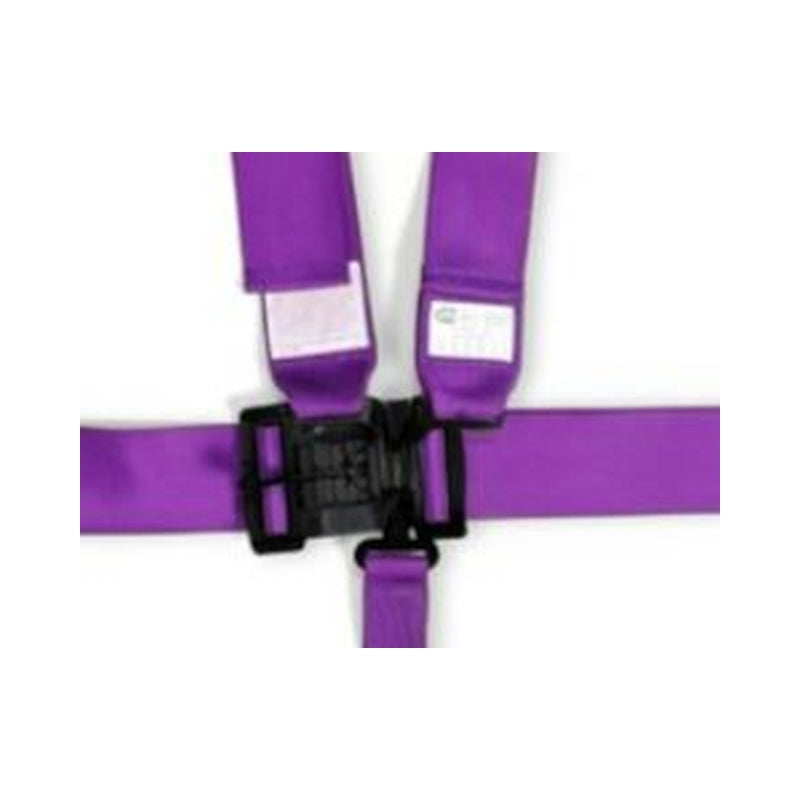 RaceQuip Purple L & L 5pt Seat Belt - 711051RQP