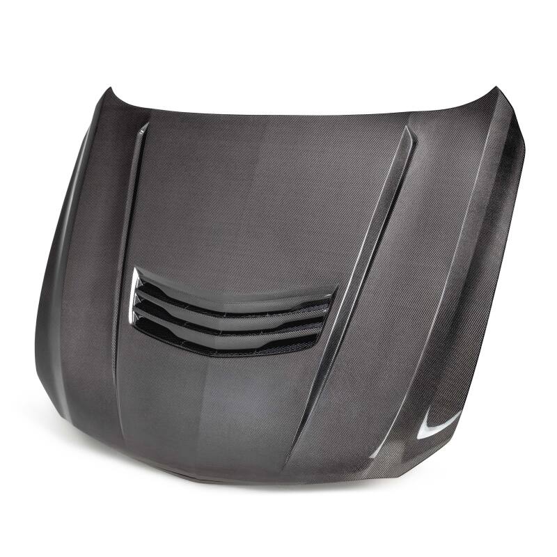 Anderson Composites 20-23 Cadillac CT5-V Blackwing Carbon Fiber Hood - Type SV - AC-HD22CACT5BW-SV-DS