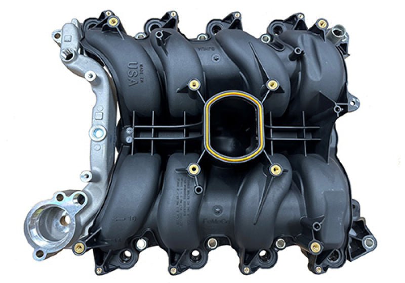 Ford Racing 01-04 Mustang GT 4.6L SOHC 2V Perf Improvement Intake Manifold (Req Manifold Gasket Set) - M-9424-P46A