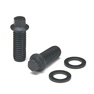 ARP 3/8in x 1.000 SS 12pt Header Bolt Kit - 400-1210