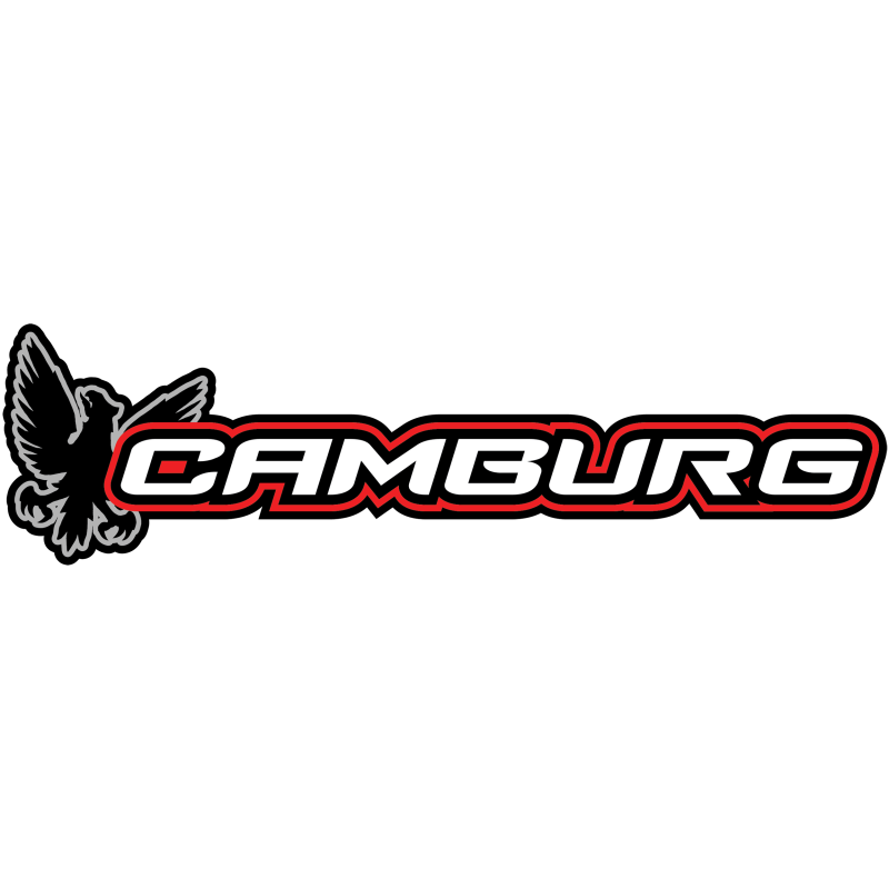 Camburg Dodge RAM 1500 (DS) 4WD 09-21 1.25in Performance Uniball Upper Arms (w/ covers)