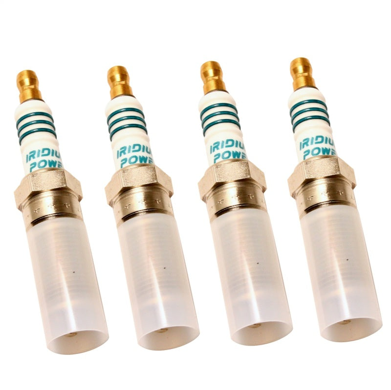 Ford Racing FRPP Cold Spark Plug Set 2.0L Ecoboost