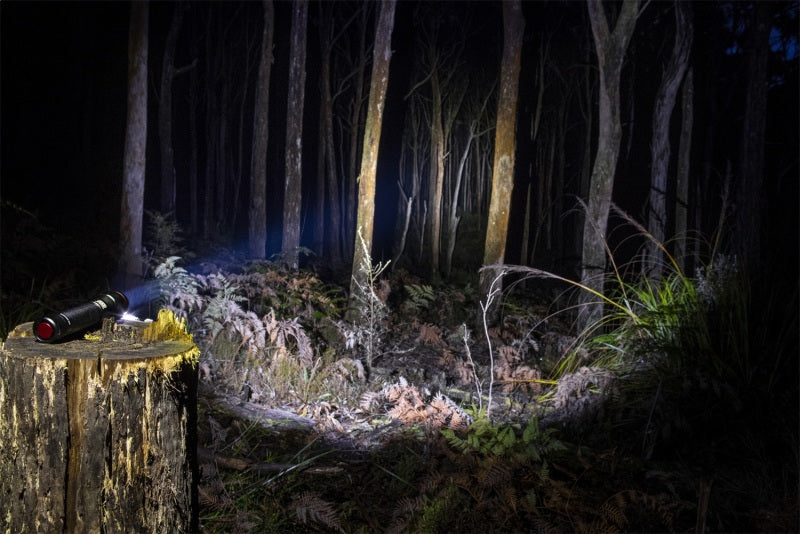 ARB Pureview 800 Flashlight 800 Lumen Flashlight - 10500070