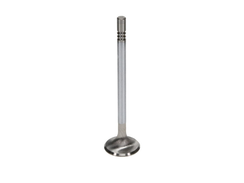 Manley Ford Coyote 5.0L DOHC 4 Valve 31mm Triple Groove Race Master Exhaust Valves (Set of 8) - 11623-8