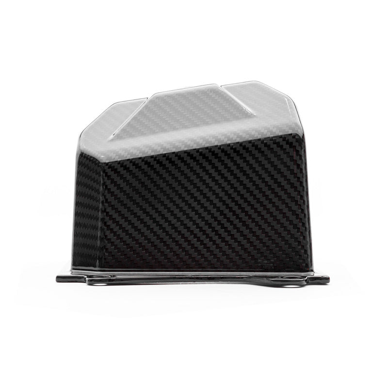 Cobb 14-19 Ford Fiesta ST Redline Carbon Fiber Intake System - Gloss Finish - 702120