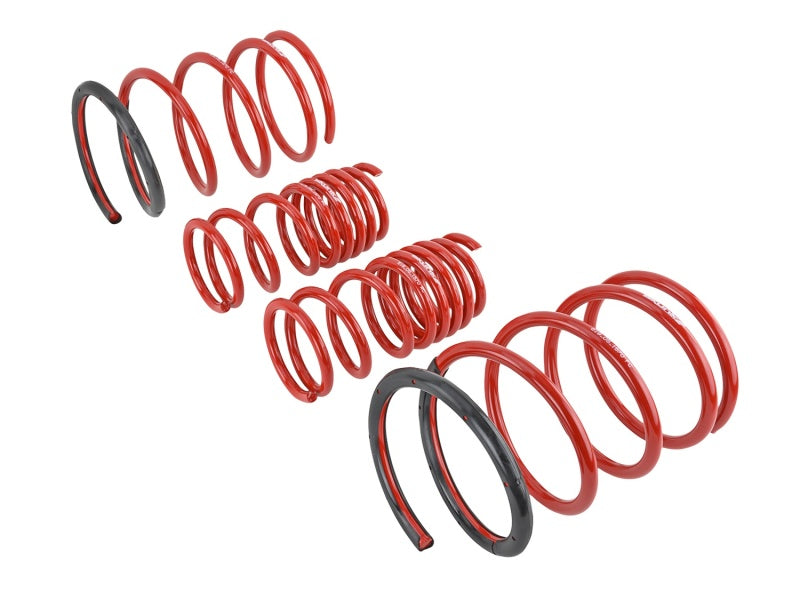 Skunk2 01-05 Honda Civic Lowering Springs (2.25in - 2.00in.) (Set of 4) - 519-05-1570 for 2001-2005 Honda Civic - detail view