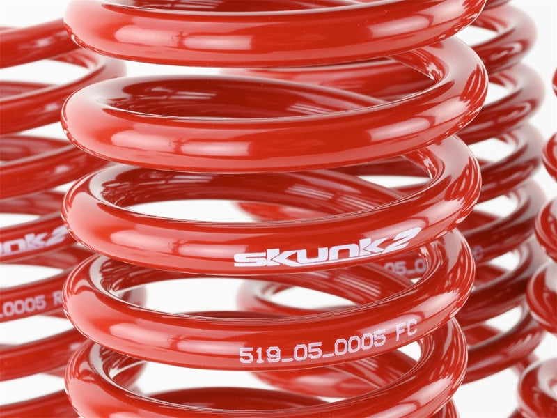 Skunk2 96-00 Honda Civic Lowering Springs (2.50in - 2.25in.) (Set of 4) - 519-05-1550 for 1996-2000 Honda Civic - installed v