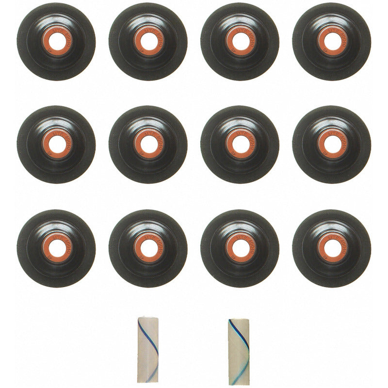 Photo - Primary