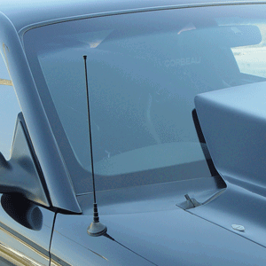 UPR - Billet Shorty Antenna 14" Black (fits 79-09 Ford Mustang) UPR - 1750-03 for 1979-2009 Ford Mustang - front view