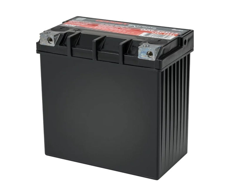 Odyssey Battery Powersport Extreme AGM Battery - ODS-AGM14