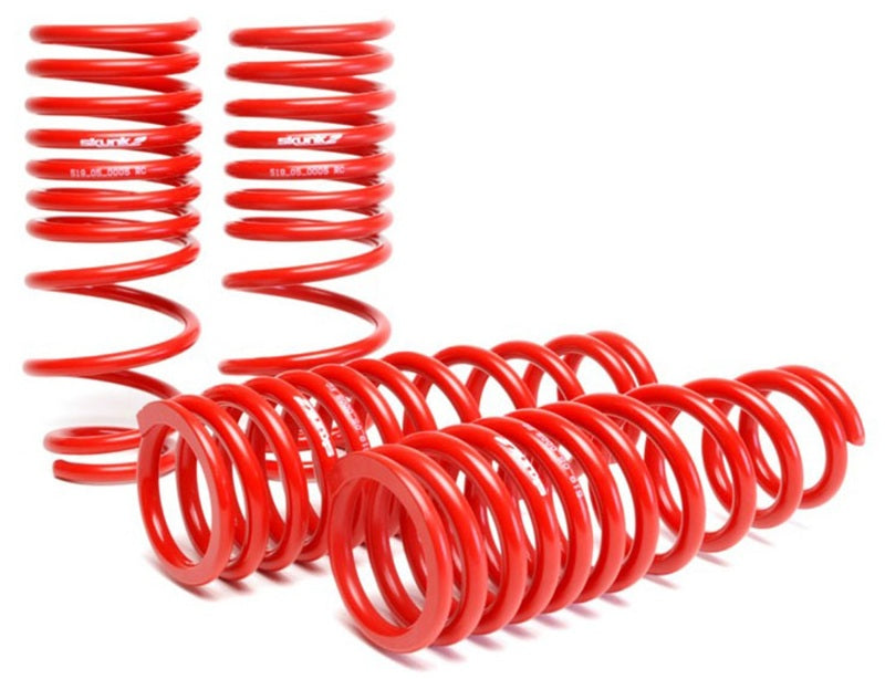 Skunk2 92-95 Honda Civic/Del Sol Lowering Springs (2.50in - 2.25in.) (Set of 4) - 519-05-1480 for 1993-1997 Honda Civic del S