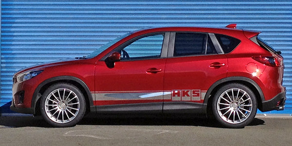 HKS S (-2025) - 80300-AZ202