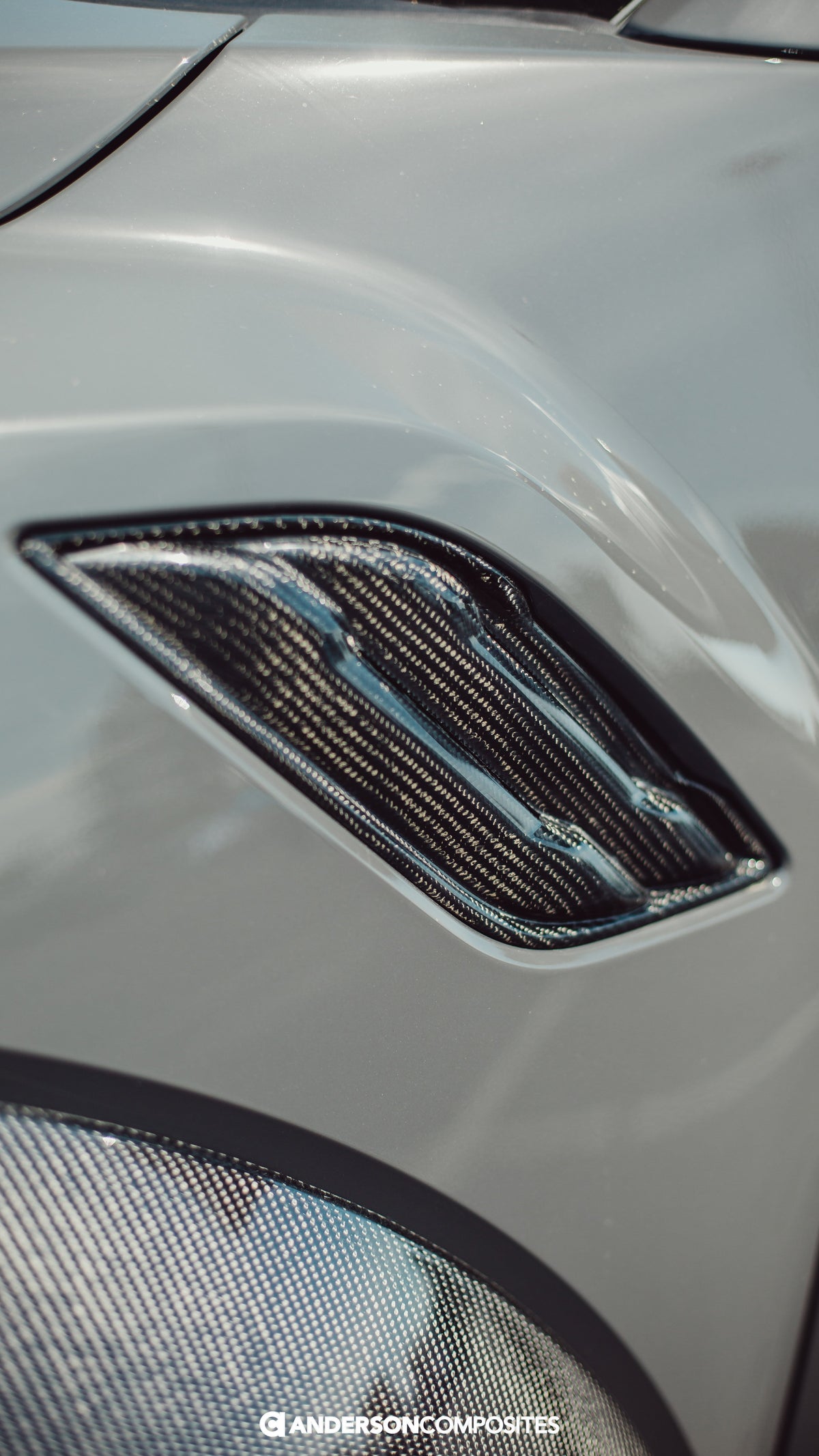 Anderson Composites 17-18 Ford Raptor Type OE Carbon Fiber Fender Vents - AC-FFI17FDRA