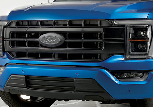 Ford Racing 2021 F-150 Black Painted Grille - M-8200-F15A