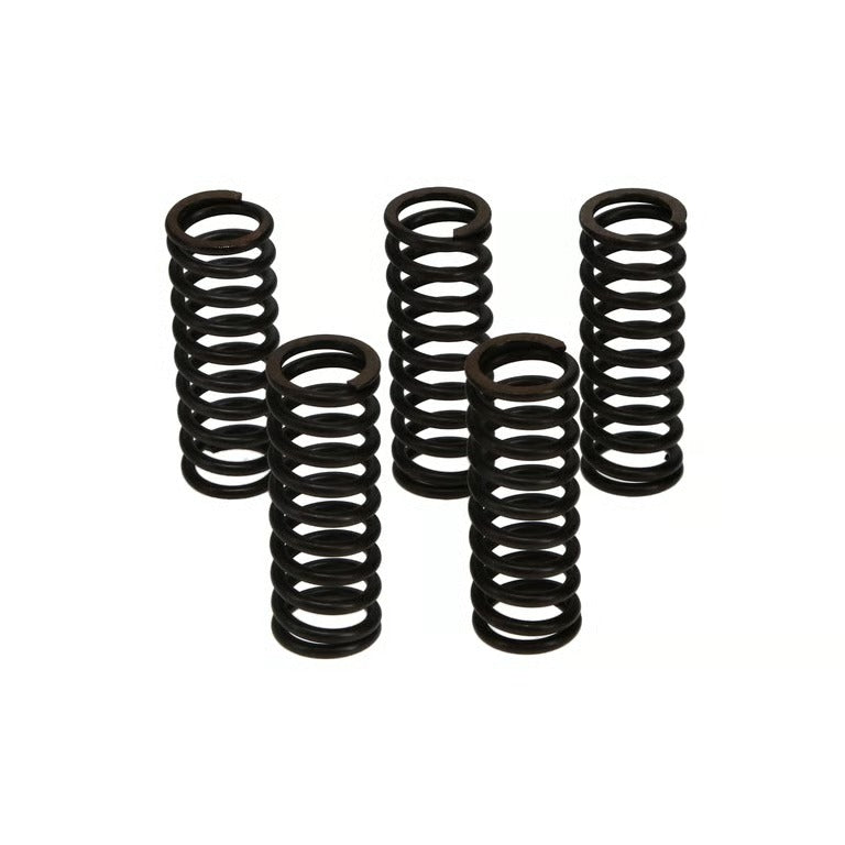 Wiseco CRF250R/RM-Z250 Clutch Spring Kit - CSK052