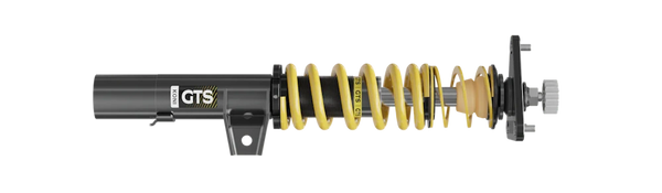 Koni GTS Coilovers 12-16 FR-S/15-21 Toyota GT86/22-24 Toyota GR86/12-24 Subaru BRZ - 1200 1002 for 2013-2025 Subaru BRZ