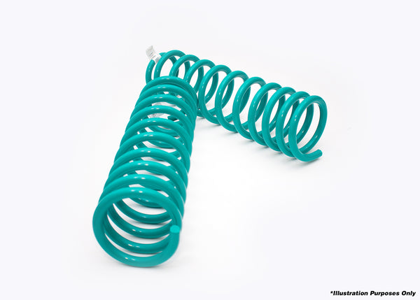 DOBINSONS COIL SPRING PAIR (C19-522)
