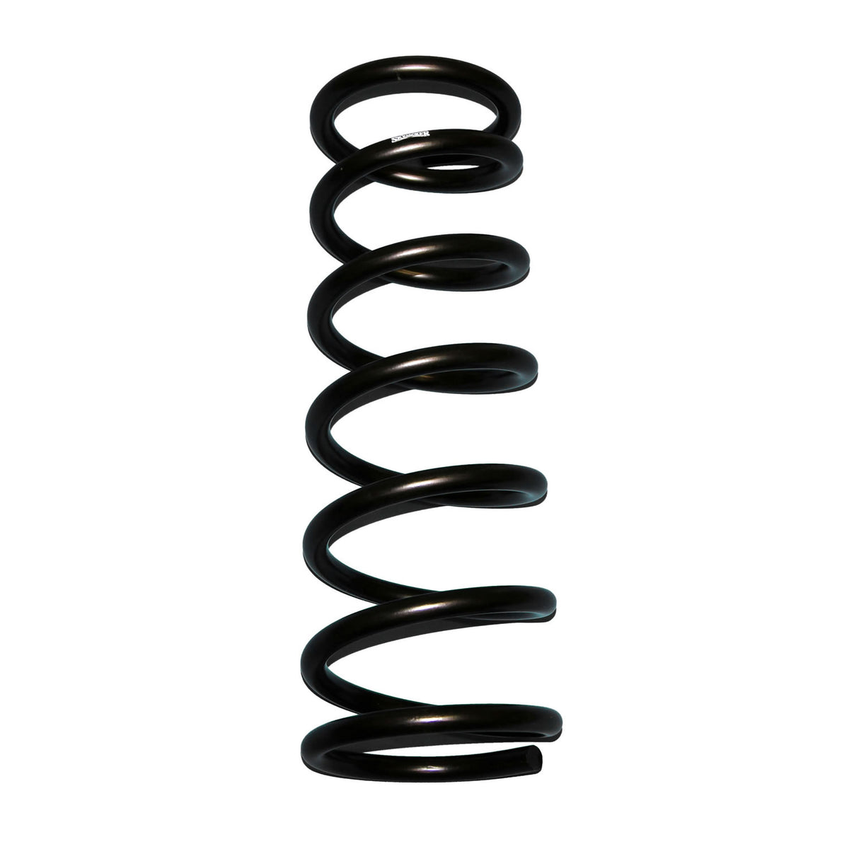 Skyjacker Coil Spring Set 1994-2001 Dodge Ram 1500 4 Wheel Drive - D50