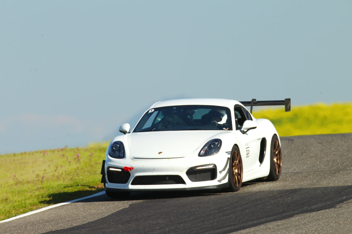 Verus - Dive Plane Kit, Dual Elements - Porsche 981 GT4 - A0151A