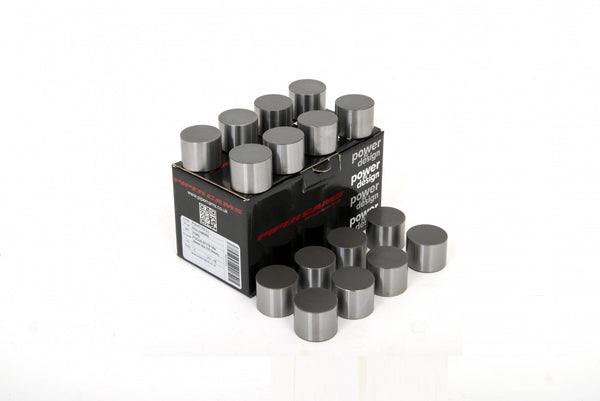 Piper Cams FOCUS ST170 &amp; ZETEC SOLID TAPPET 11.60mm STEM - FOLST170S