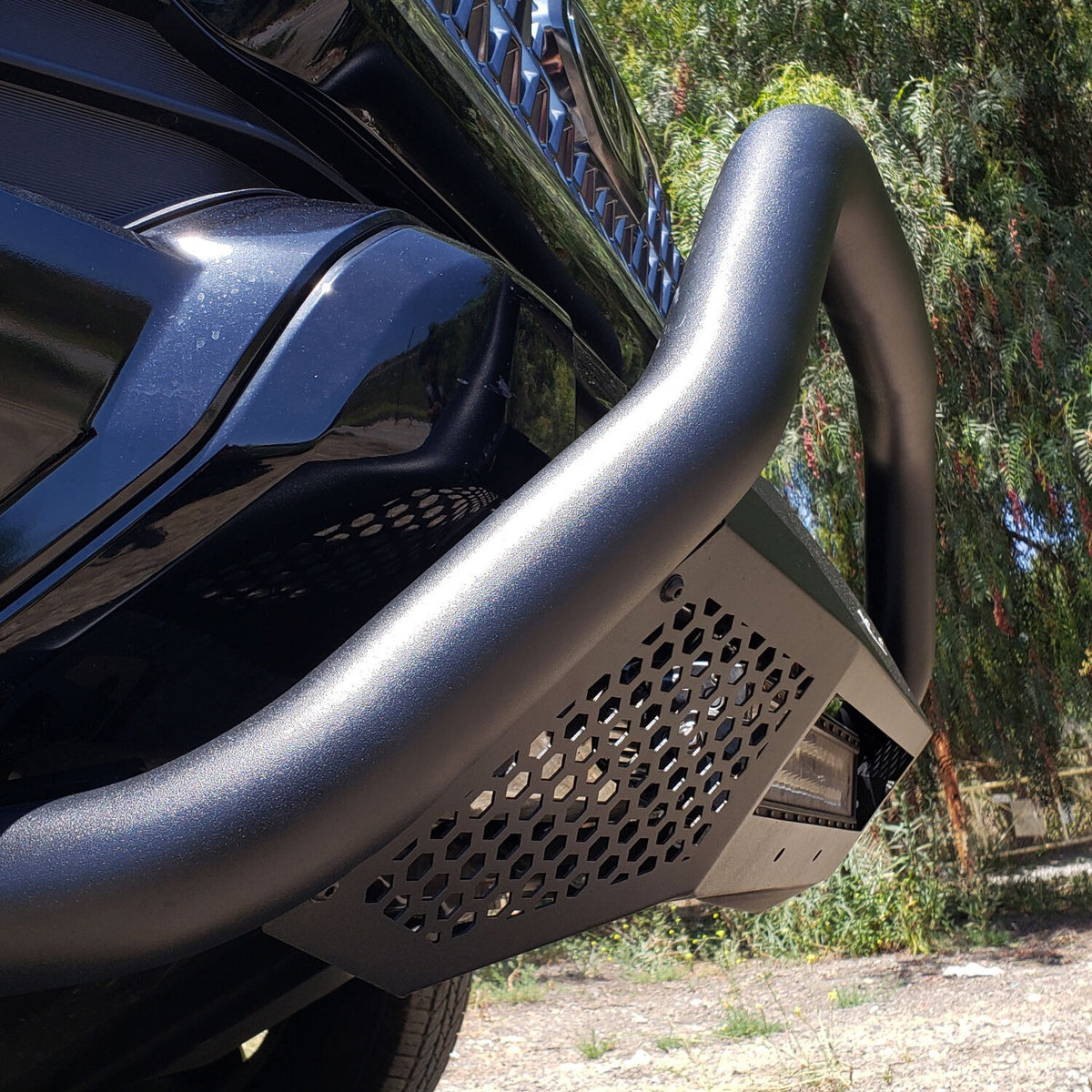 Photo - Close up
