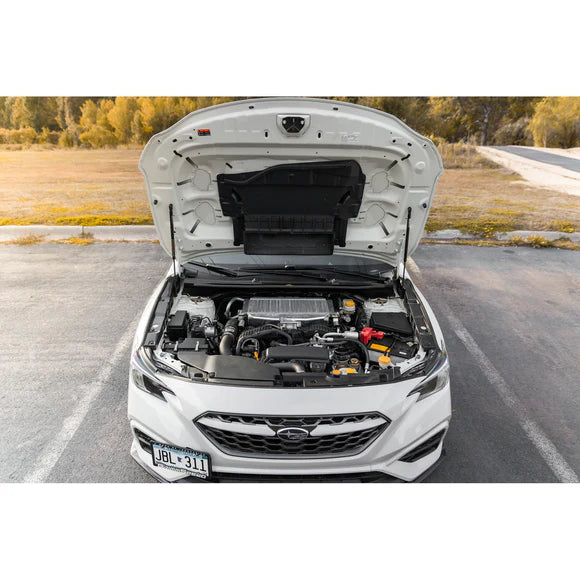 GrimmSpeed 2015+ Subaru WRX/STI High Lift Hood Struts - 113072