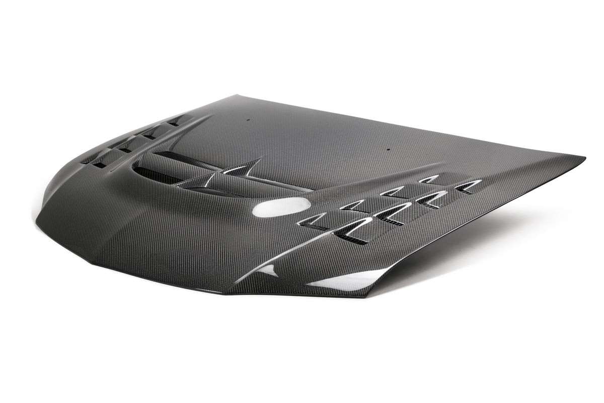Seibon 03-07 Mitsubishi Evo 8 & 9 CW II Carbon Fiber Hood - HD0305MITEVO8-CWII