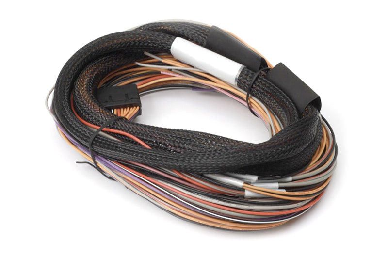 Haltech - Haltech IO 12 Expander Box B CAN Based 12 Channel w/Flying Lead Harness - HT-059905