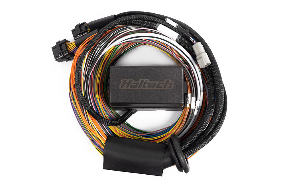 Haltech - Haltech Elite 2500/2500 T 8ft Premium Universal Wire-In Harness - HT-141304