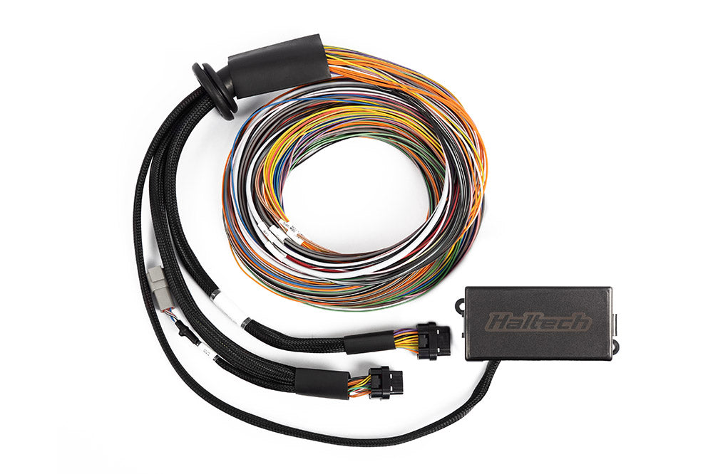 Haltech - Haltech Universal Elite 2500/2500 T Premium Wire-In Harness - HT-141306